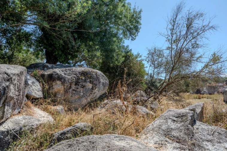 Terreno para Venda em São Cristovão Foto 20
