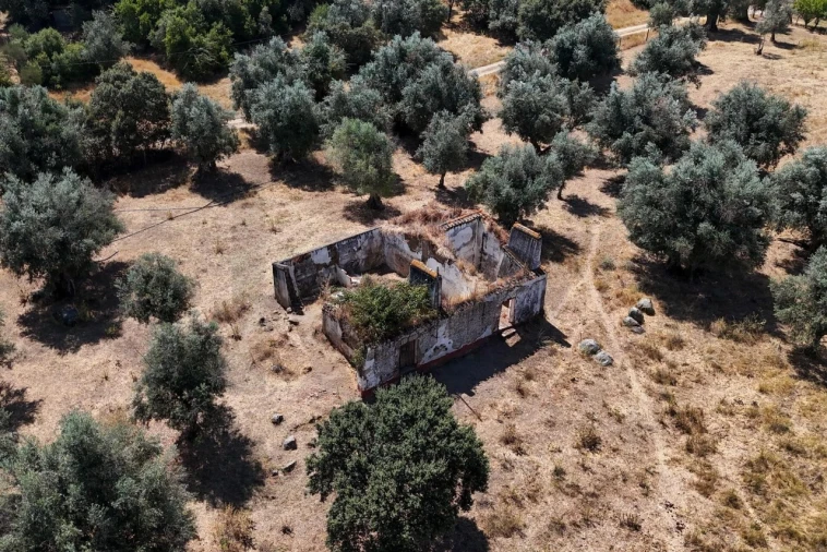 Terreno para Venda em São Cristovão Foto 32