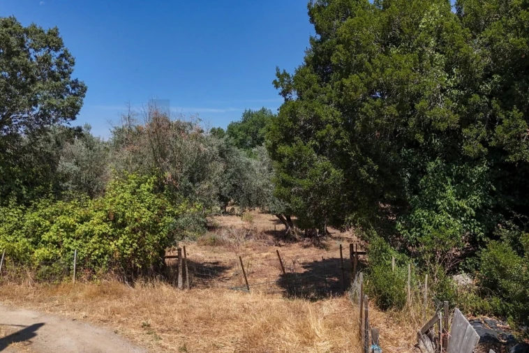 Terreno para Venda em São Cristovão Foto 38