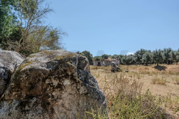 Terreno para Venda em São Cristovão Foto 15