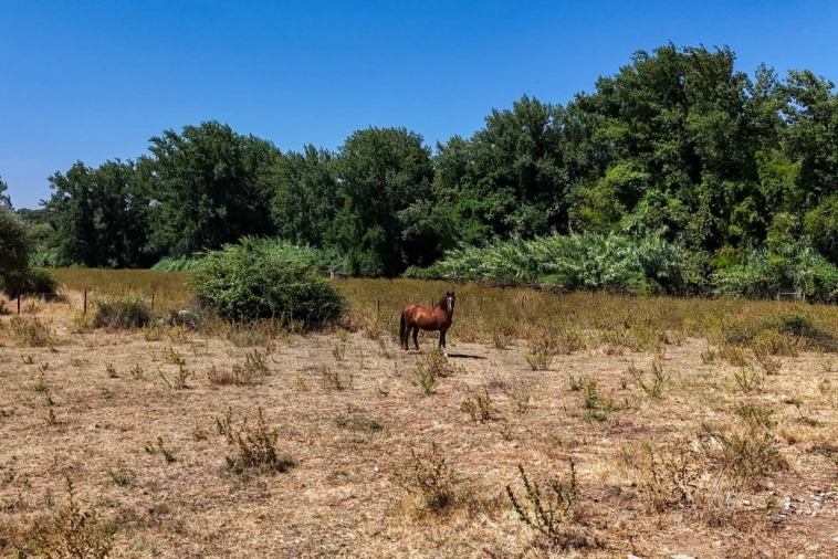 Terreno para Venda em São Cristovão Foto 44