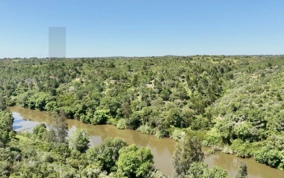 Terreno para Venda em Figueira dos Cavaleiros Foto 6