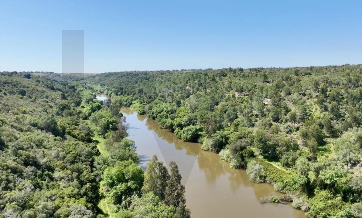 Terreno para Venda em Figueira dos Cavaleiros Foto 5