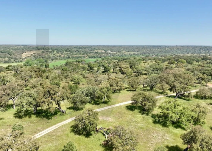 Terreno para Venda em Figueira dos Cavaleiros Foto 13