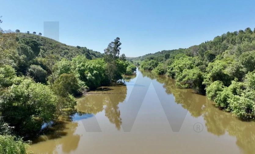 Terreno para Venda em Figueira dos Cavaleiros