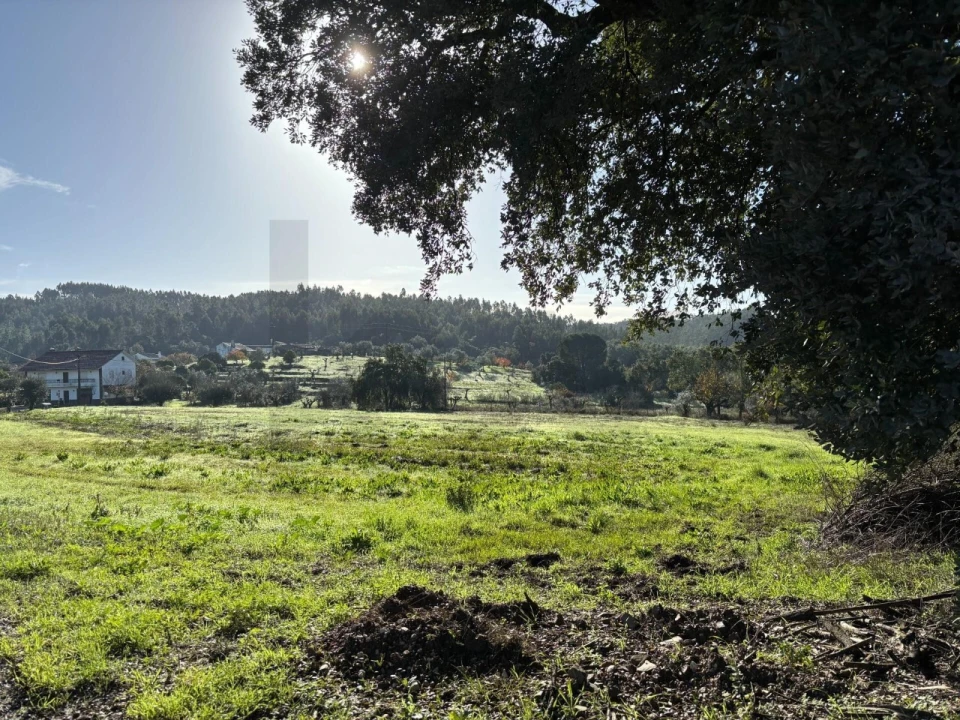 Terreno para Venda em Olalhas Foto 9
