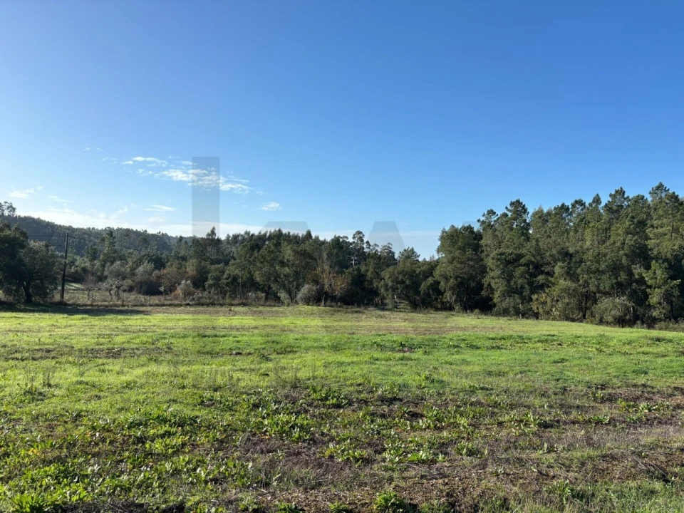 Terreno para Venda em Olalhas Foto 2