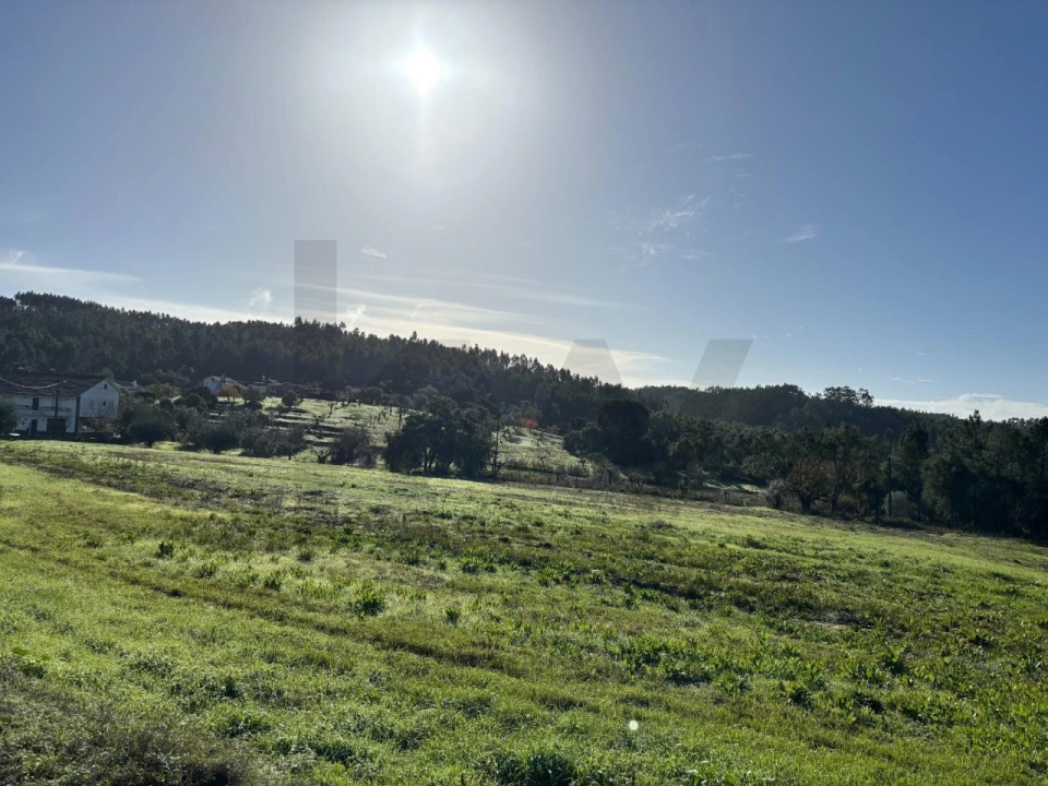 Terreno para Venda em Olalhas Foto 8