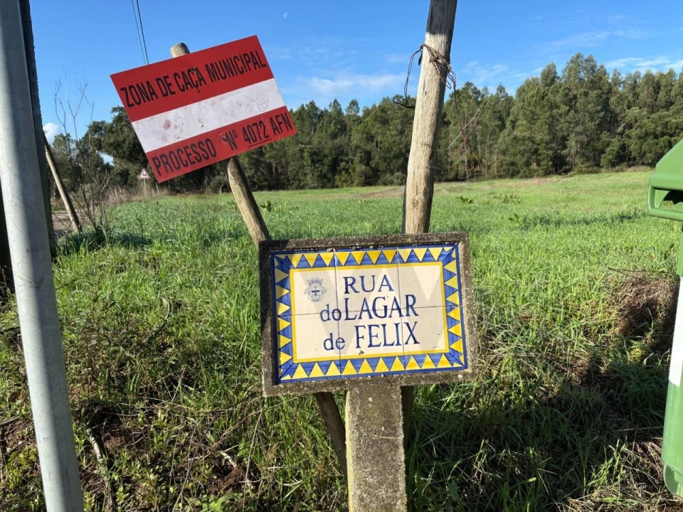 Terreno para Venda em Olalhas Foto 17