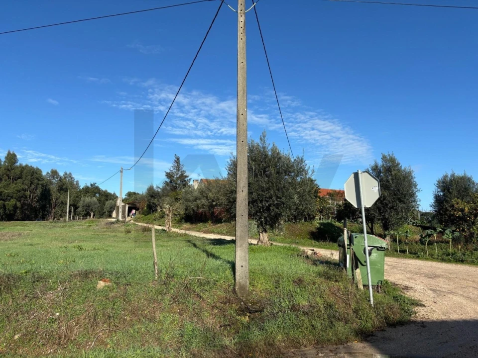 Terreno para Venda em Olalhas Foto 18