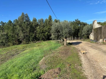 Terreno para Venda em Olalhas