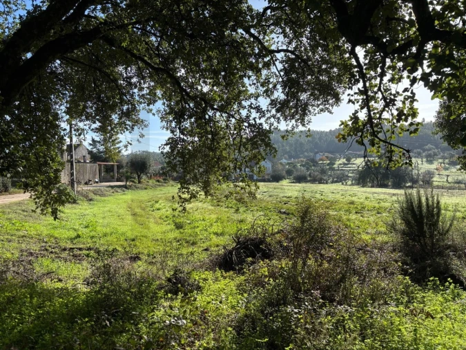 Terreno para Venda em Olalhas Foto 12