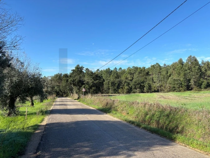 Terreno para Venda em Olalhas Foto 20