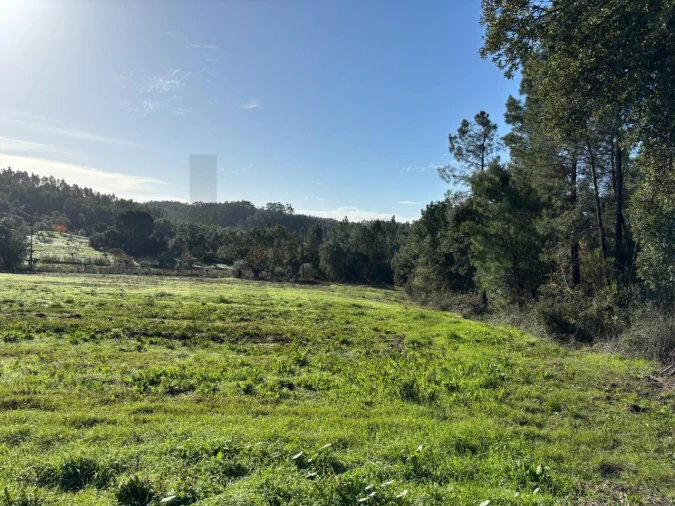 Terreno para Venda em Olalhas Foto 3