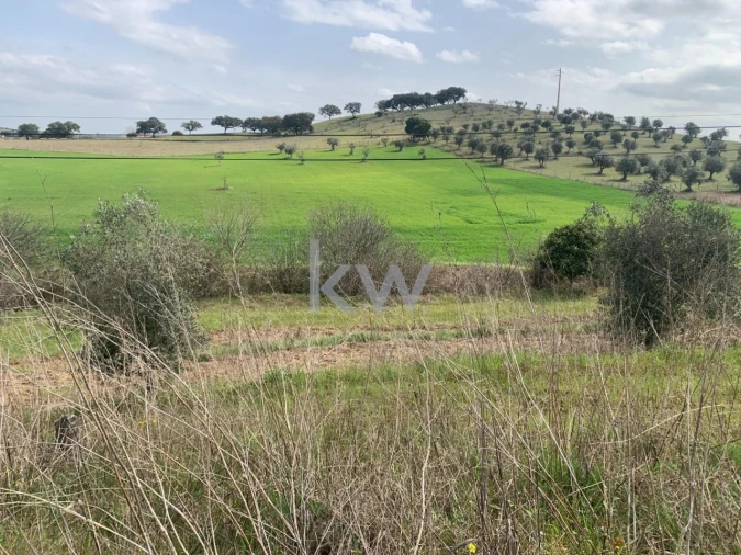 Terreno para Venda em Odivelas Foto 3