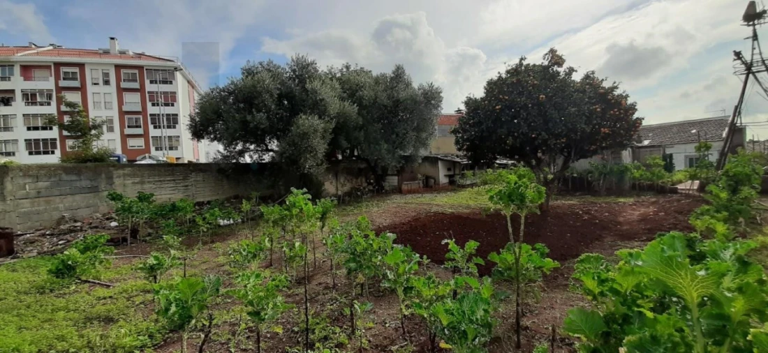 Terreno para Venda em Massamá e Monte Abraão Foto 13
