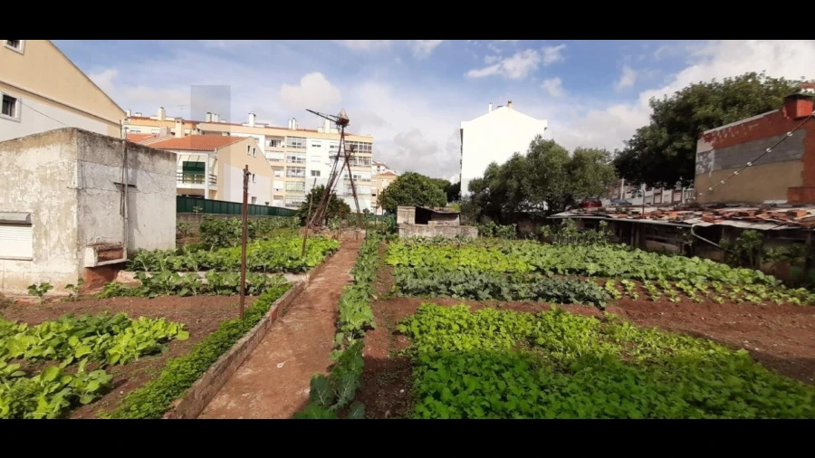 Terreno para Venda em Massamá e Monte Abraão