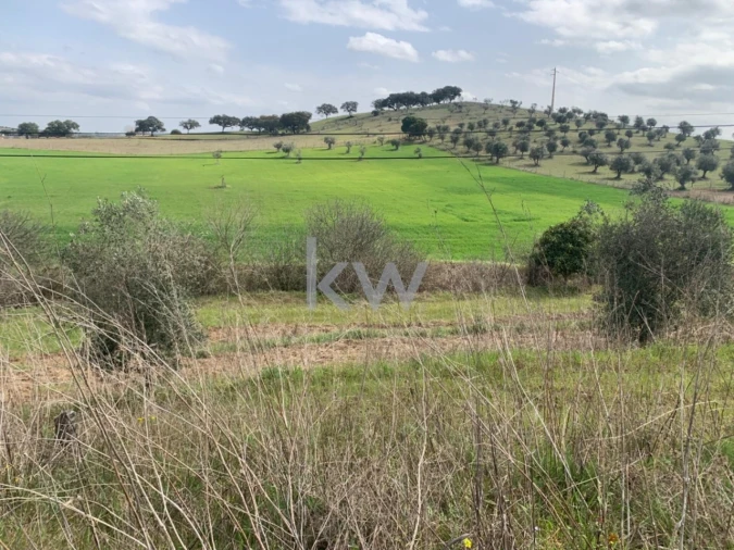 Terreno para Venda em Odivelas Foto 2
