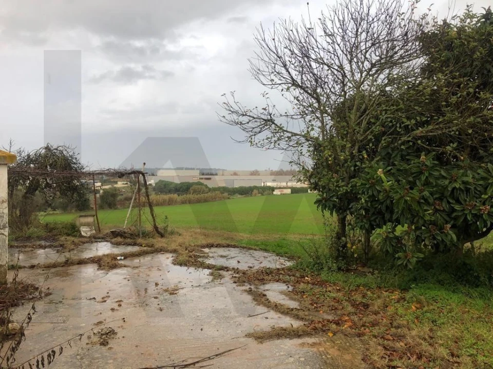 Terreno para Venda em Carregado e Cadafais Foto 8
