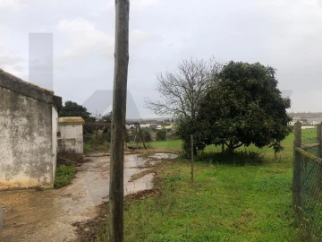 Terreno para Venda em Carregado e Cadafais