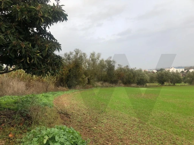 Terreno para Venda em Carregado e Cadafais Foto 20