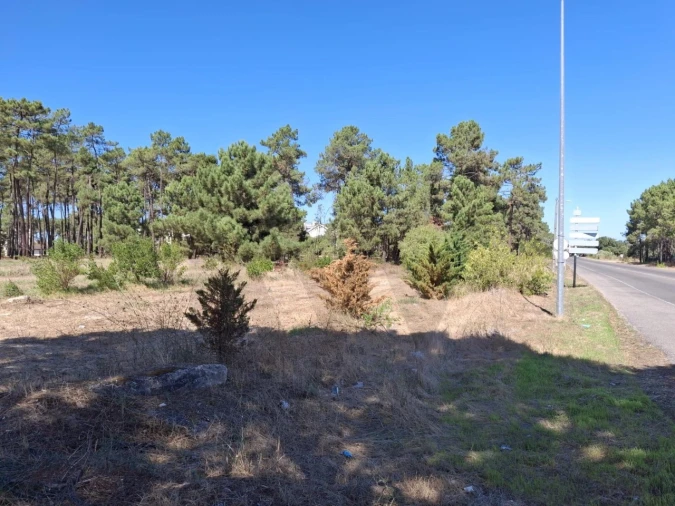 Terreno para Venda em Azeitão (São Lourenço e São Simão) Foto 2