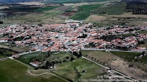 Terreno para Venda em Pedrogão