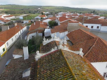 Terreno para Venda em Pedrogão