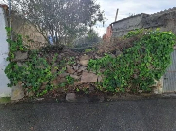 Terreno para Venda em Pedrogão