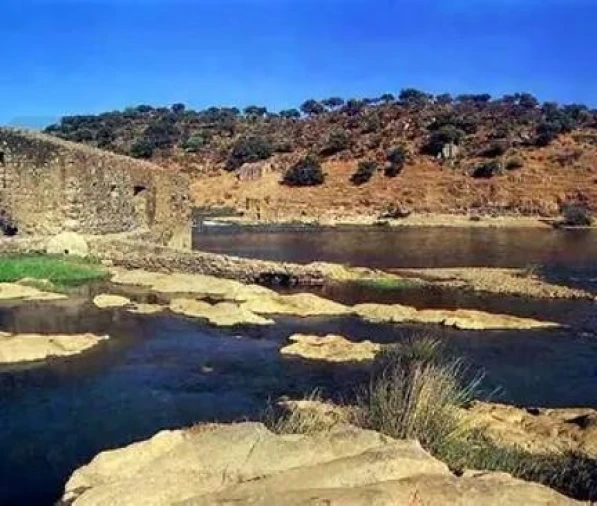 Terreno para Venda em Pedrogão Foto 9
