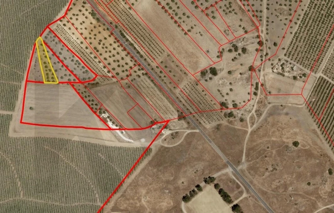 Terreno para Venda em Pedrogão Foto 24