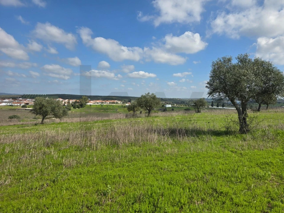Terreno para Venda em Pedrogão Foto 5
