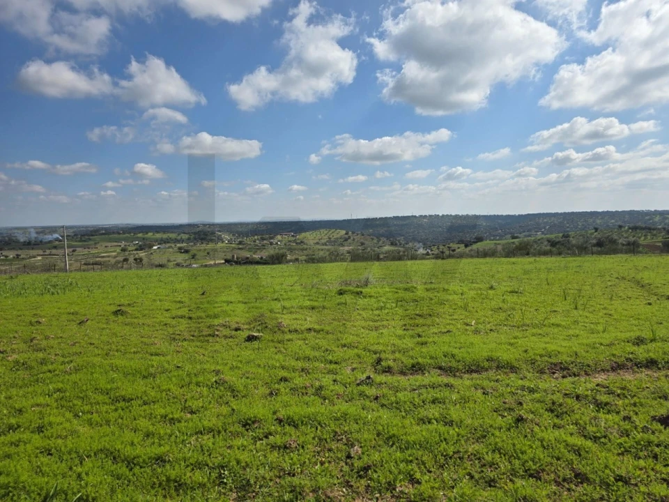 Terreno para Venda em Pedrogão Foto 7