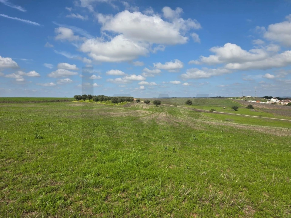 Terreno para Venda em Pedrogão Foto 14