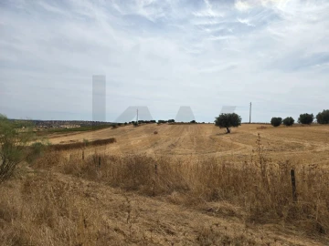Terreno para Venda em Pedrogão