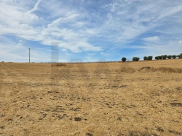 Terreno para Venda em Pedrogão
