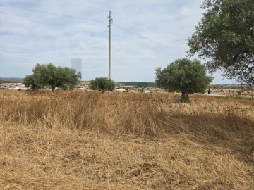 Terreno para Venda em Pedrogão