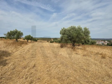 Terreno para Venda em Pedrogão