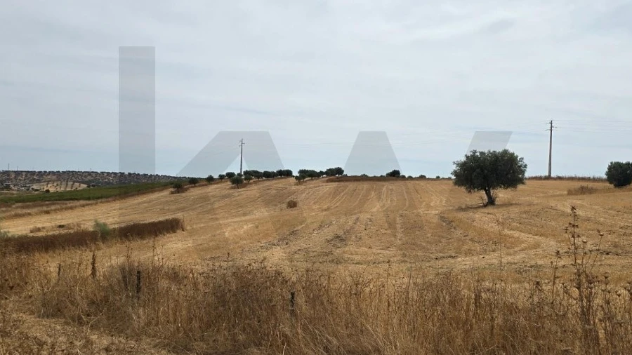 Terreno para Venda em Pedrogão