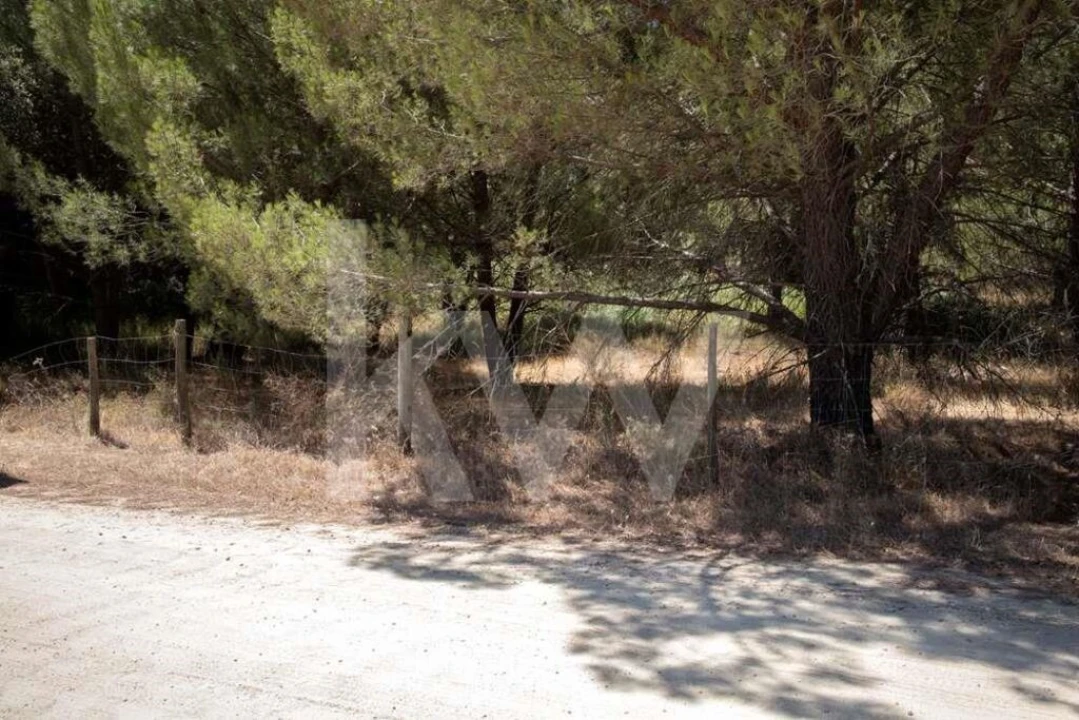 Terreno para Venda em Santo Estêvão Foto 4