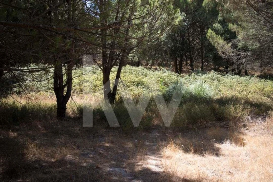Terreno para Venda em Santo Estêvão Foto 8