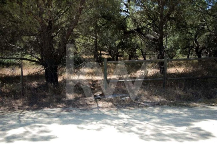 Terreno para Venda em Santo Estêvão Foto 3