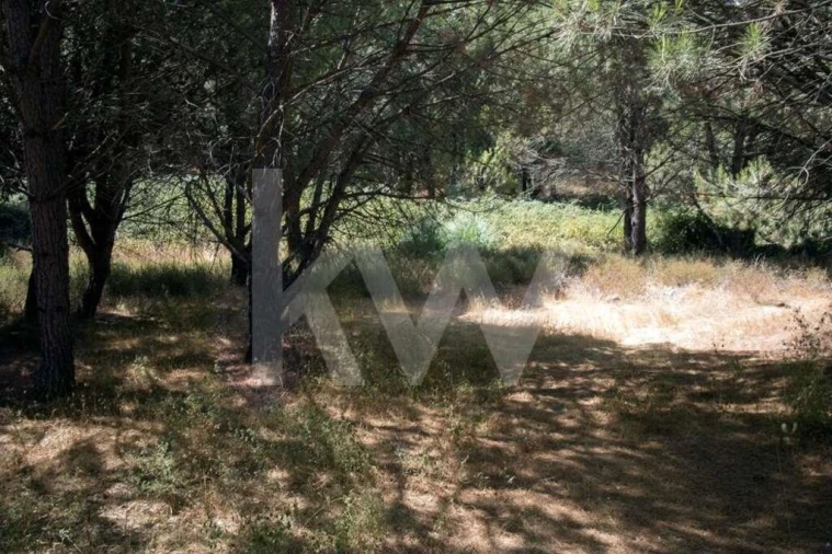 Terreno para Venda em Santo Estêvão Foto 5