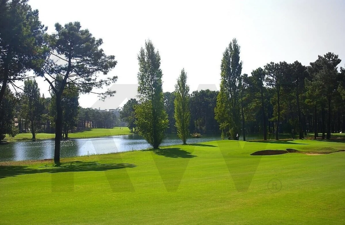 Terreno para Venda em Corroios Foto 12