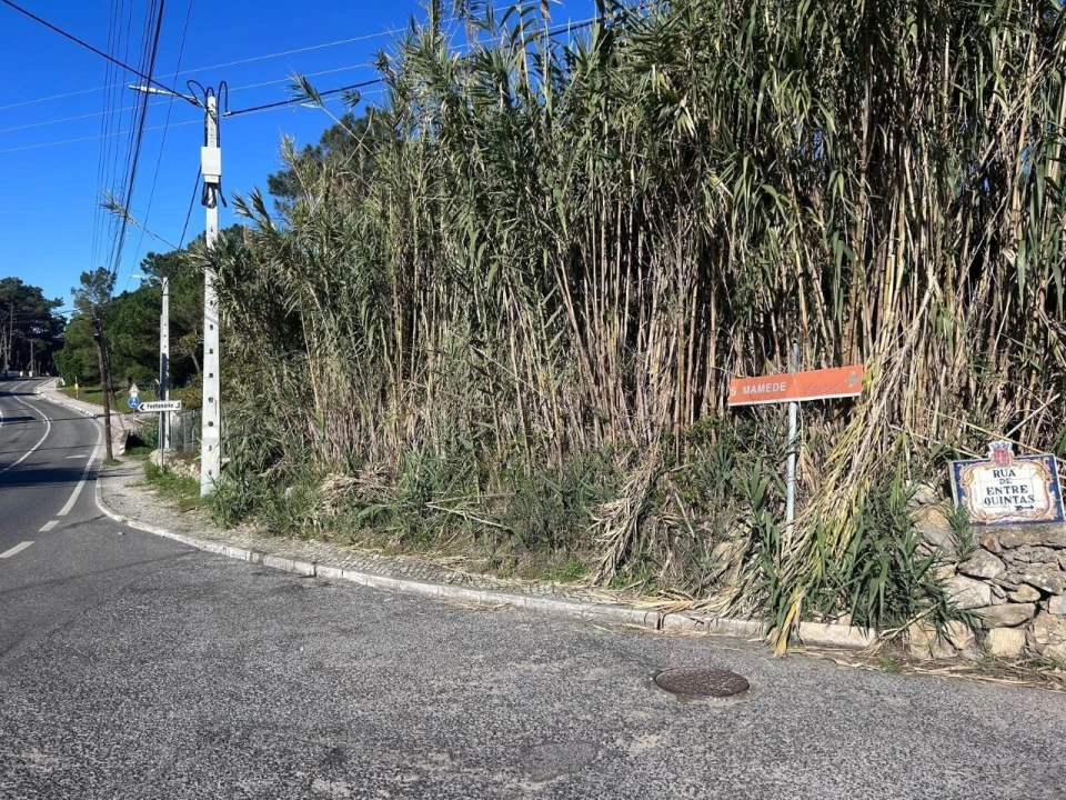Terreno para Venda em Santa Maria e São Miguel, São Martinho, São Pedro Penaferrim Foto 1