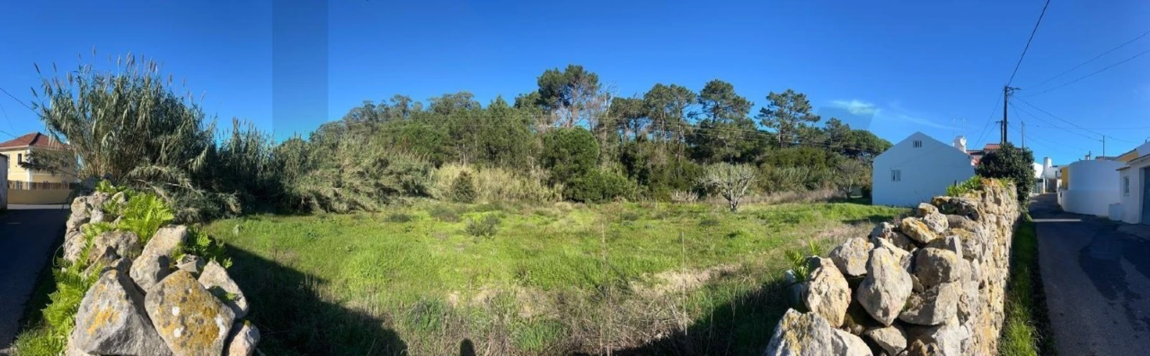 Terreno para Venda em Santa Maria e São Miguel, São Martinho, São Pedro Penaferrim Foto 8