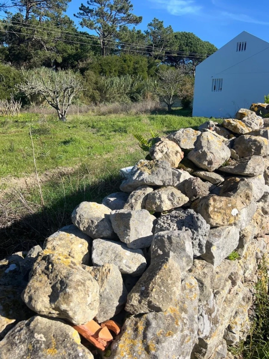 Terreno para Venda em Santa Maria e São Miguel, São Martinho, São Pedro Penaferrim Foto 7