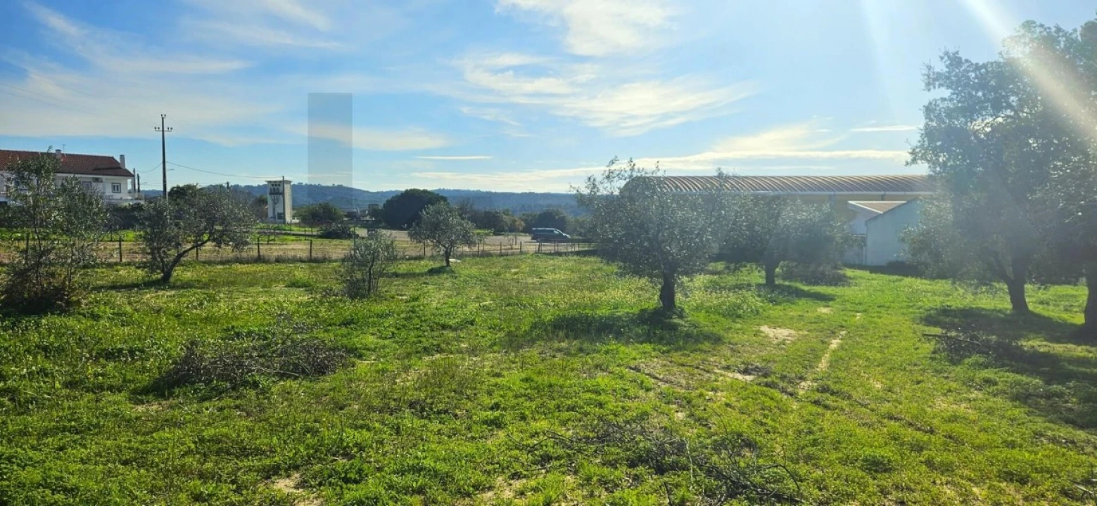 Terreno para Venda em Melides Foto 9