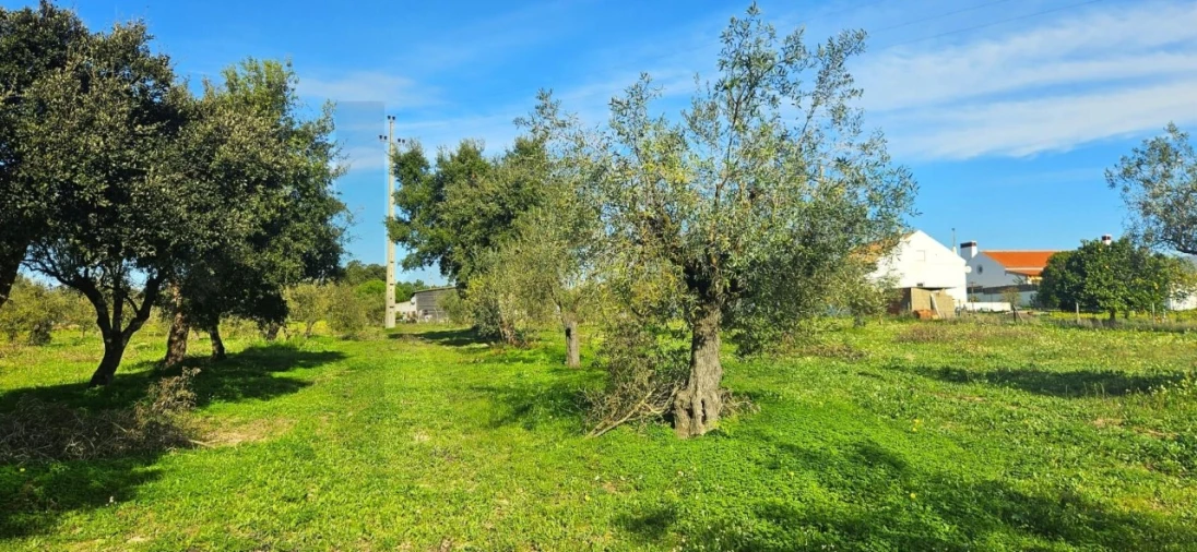 Terreno para Venda em Melides Foto 10