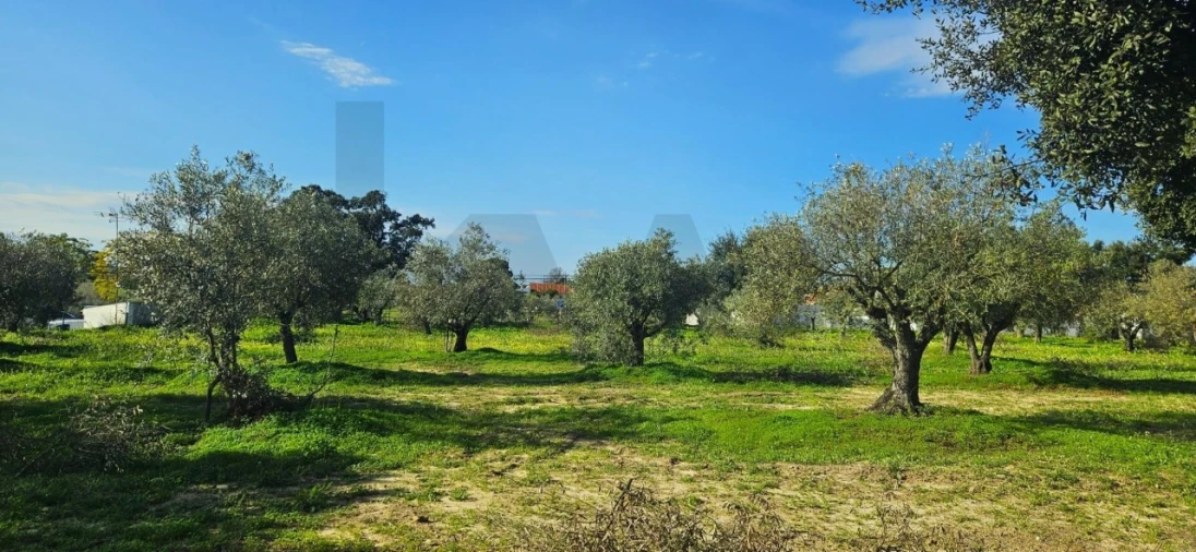 Terreno para Venda em Melides Foto 11
